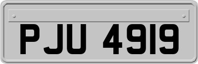 PJU4919