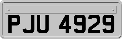 PJU4929
