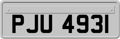 PJU4931