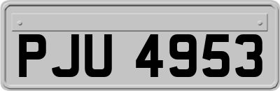 PJU4953