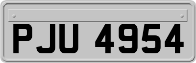 PJU4954