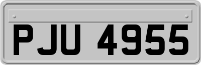 PJU4955
