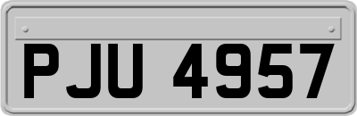PJU4957