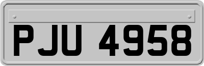 PJU4958