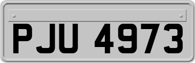 PJU4973
