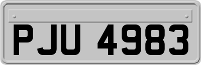 PJU4983