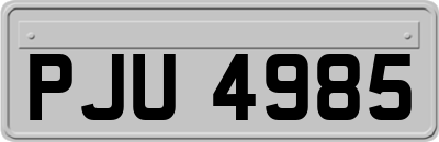 PJU4985
