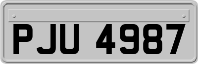 PJU4987