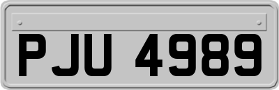 PJU4989
