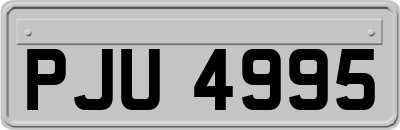 PJU4995