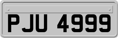 PJU4999