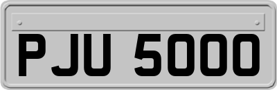 PJU5000