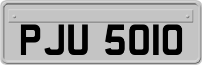 PJU5010