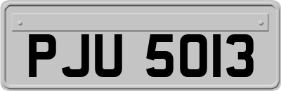 PJU5013