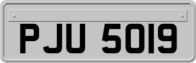 PJU5019