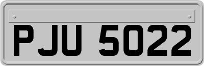 PJU5022