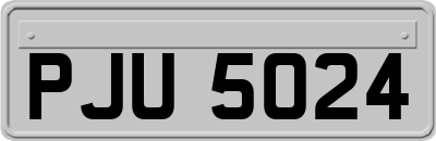 PJU5024