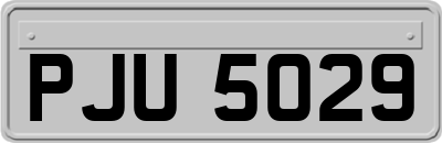 PJU5029