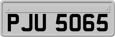 PJU5065