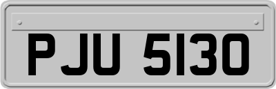 PJU5130