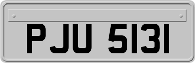 PJU5131