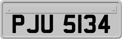 PJU5134