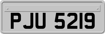 PJU5219