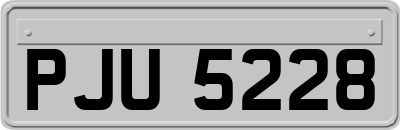 PJU5228