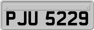 PJU5229