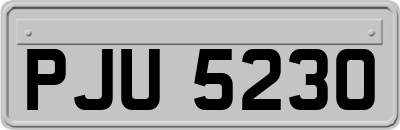 PJU5230