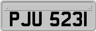 PJU5231