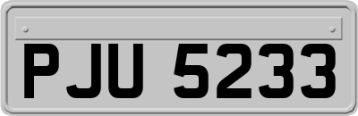 PJU5233