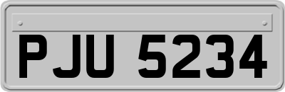 PJU5234