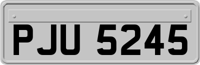 PJU5245