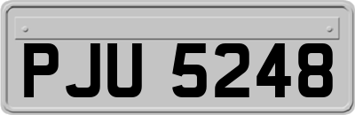 PJU5248