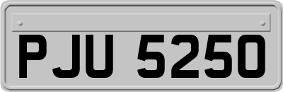 PJU5250