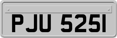 PJU5251