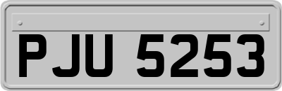 PJU5253