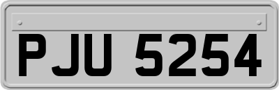 PJU5254
