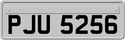 PJU5256