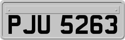 PJU5263