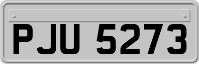 PJU5273