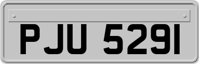 PJU5291