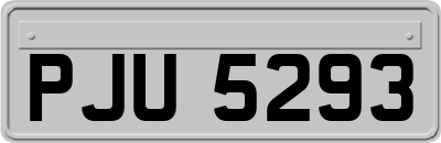 PJU5293