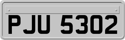 PJU5302
