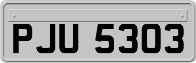 PJU5303