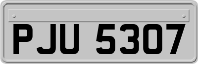 PJU5307