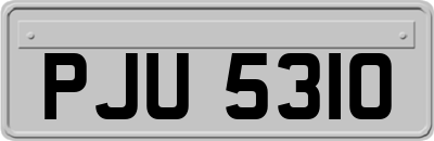PJU5310