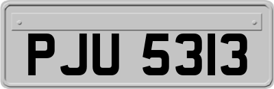 PJU5313