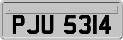 PJU5314
